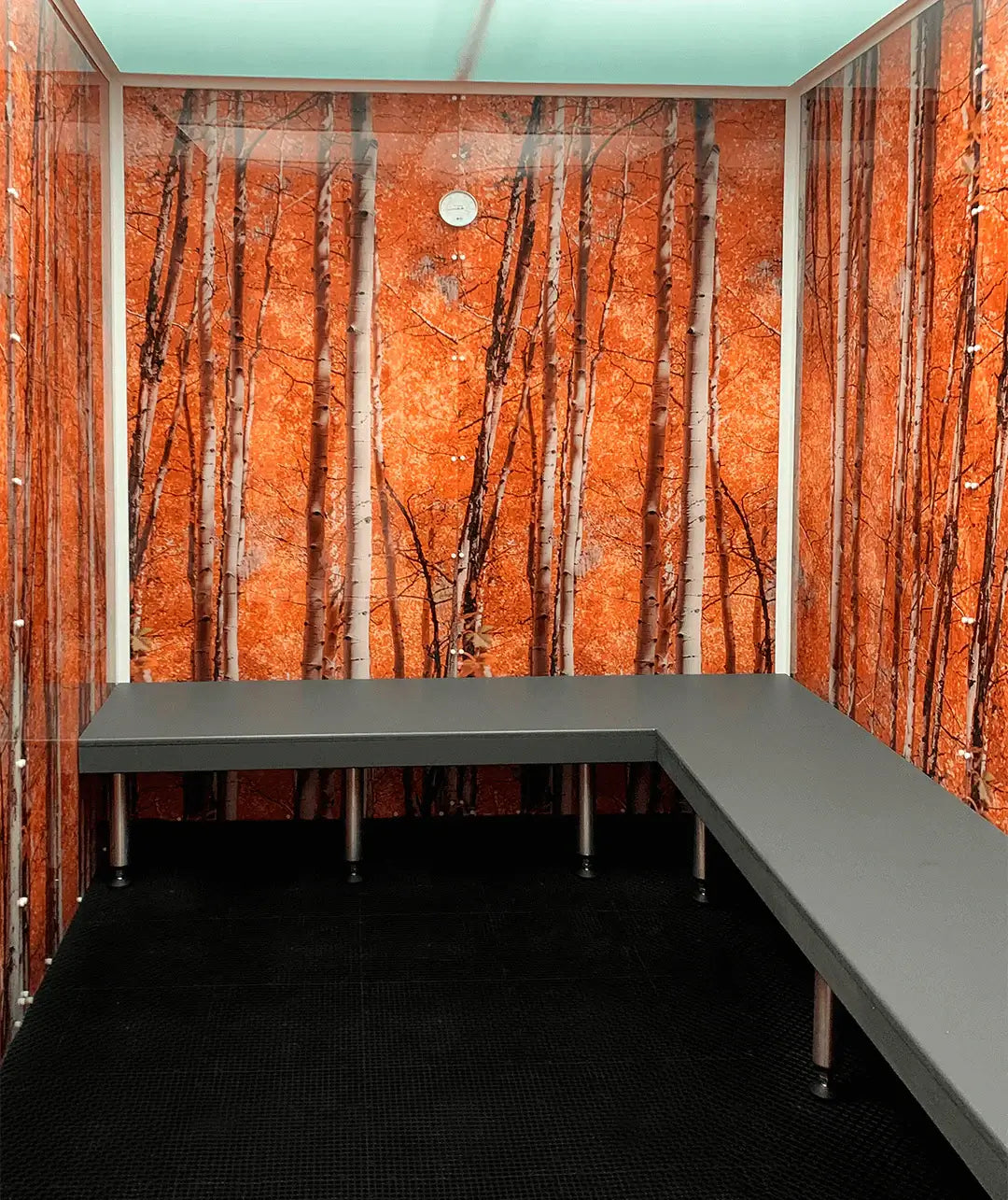 Scandia Advanced Hybrid Steam Room