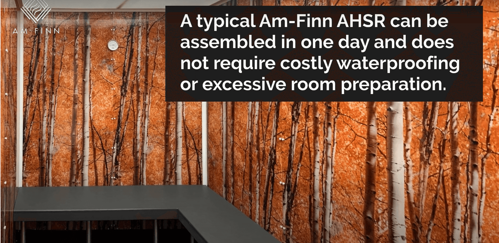 Scandia Advanced Hybrid Steam Room