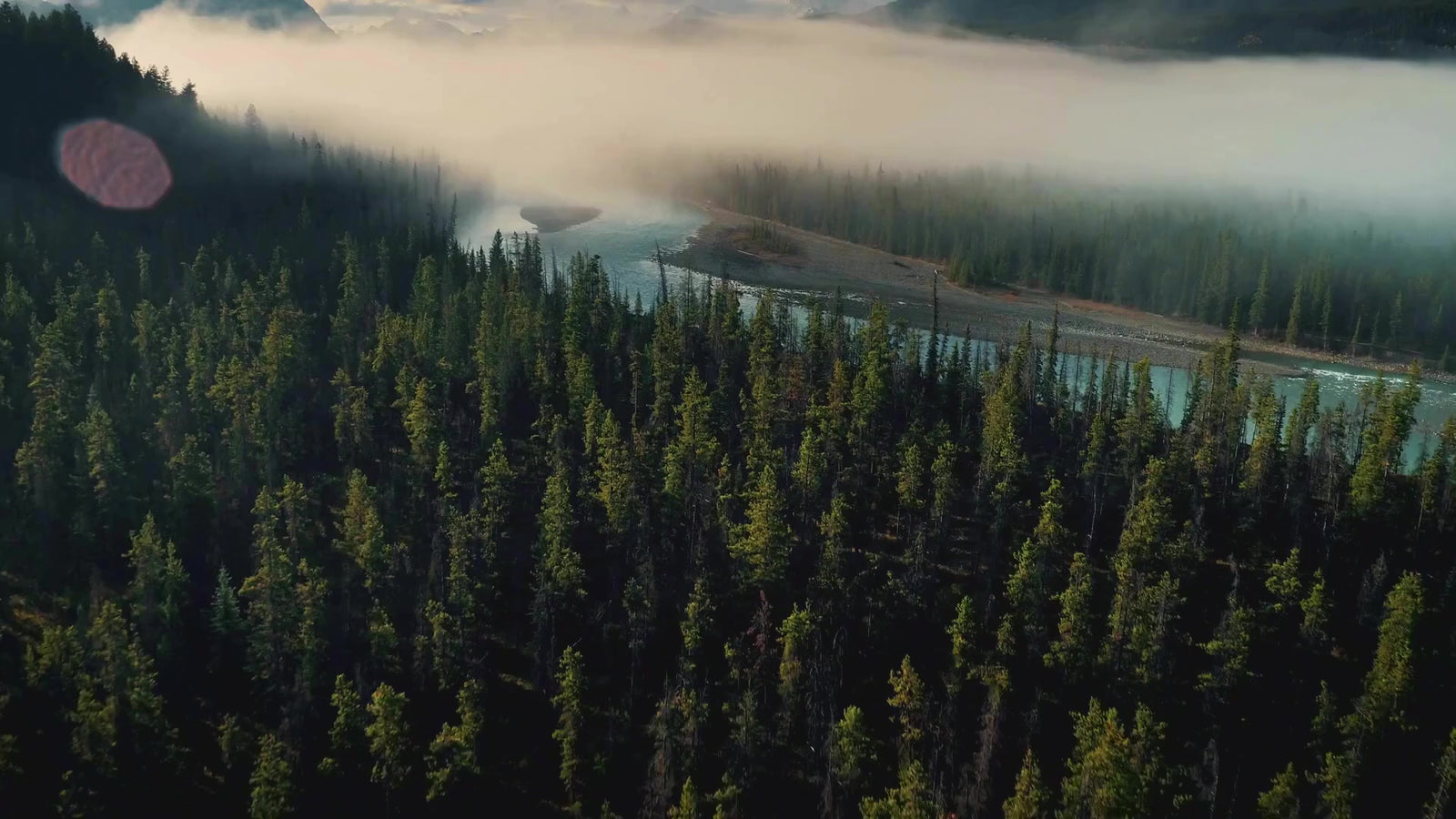 Finnmark FD-1 Full Spectrum 1-Person Infrared Sauna | FD-KN001